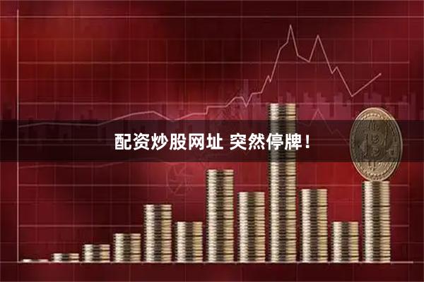 配资炒股网址 突然停牌！