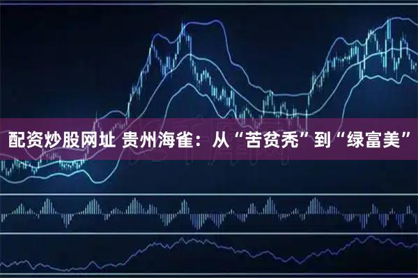配资炒股网址 贵州海雀：从“苦贫秃”到“绿富美”