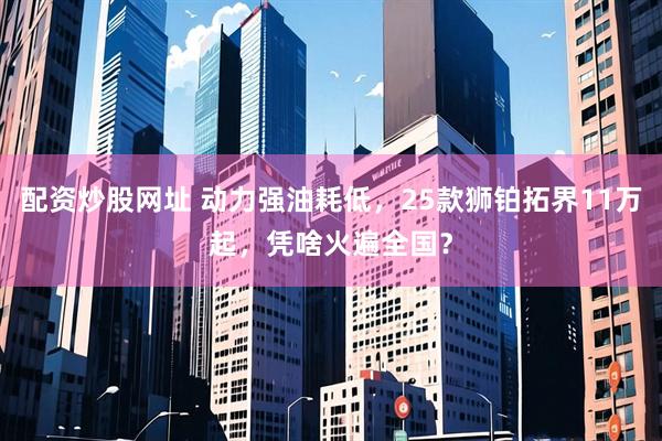 配资炒股网址 动力强油耗低，25款狮铂拓界11万起，凭啥火遍全国？