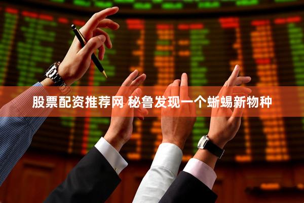 股票配资推荐网 秘鲁发现一个蜥蜴新物种